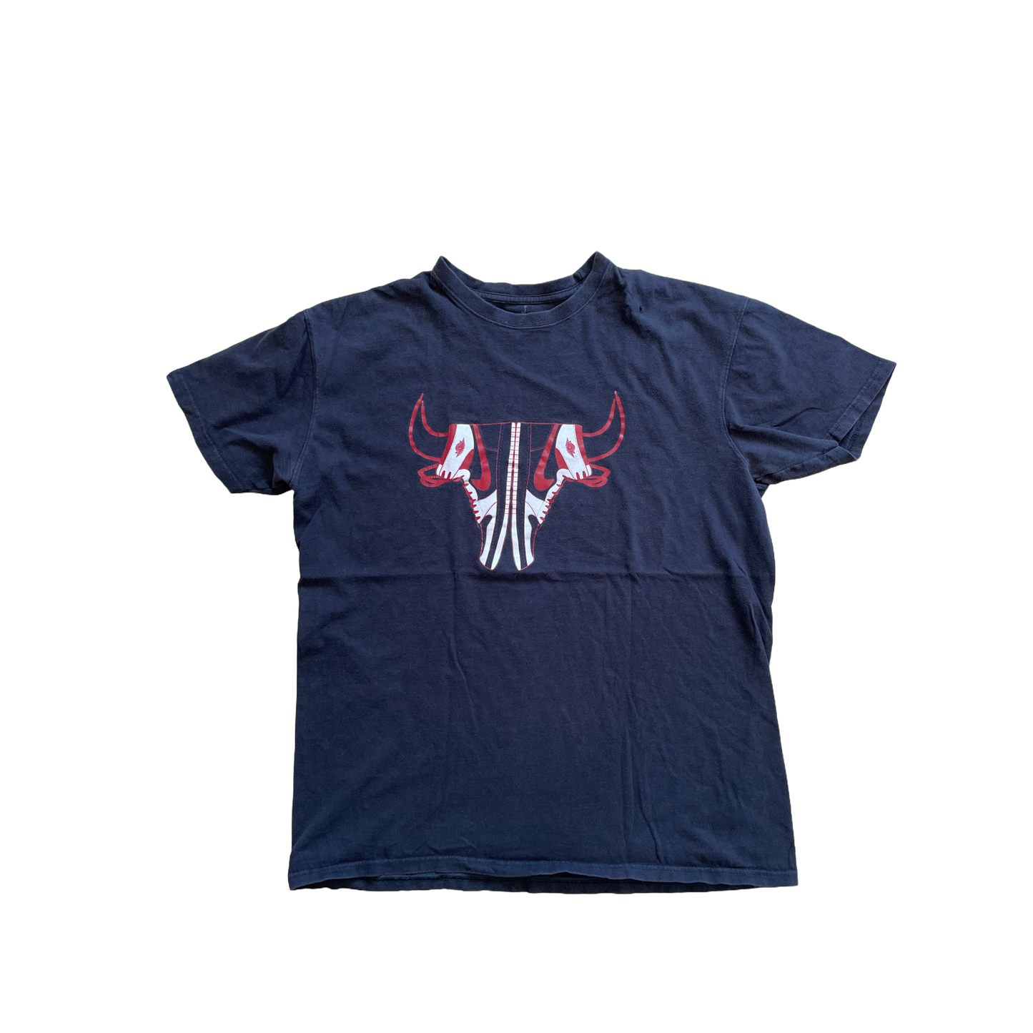 RESURRECTED Jordan 1s Ultra Soft Tee